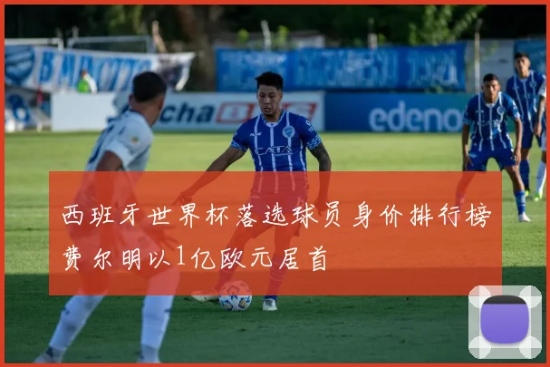 西班牙世界杯落选球员身价排行榜费尔明以1亿欧元居首